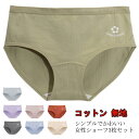 【送料無料】ショーツ レディース コットン 3枚セット 下着 深履き 綿 ひびかない おしゃれ すっぽり ストレッチ性 インナーウェア 包み込む 食い込まない デイリー シンプル 無地 くいこまない ストレスフリー コットンショーツ M L XL