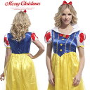 クリスマス ハロウィン コスプレ 大人 衣装 かわいい セクシー コスチューム お姫様 童話 可愛い 仮装 キャラクター ロリータ ハロウイン 忘年会
