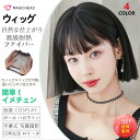 ウィッグ ファッションかつら レディース 社長気質清潔短髪の短いかつらセットは短いストレート髪になっている(4)