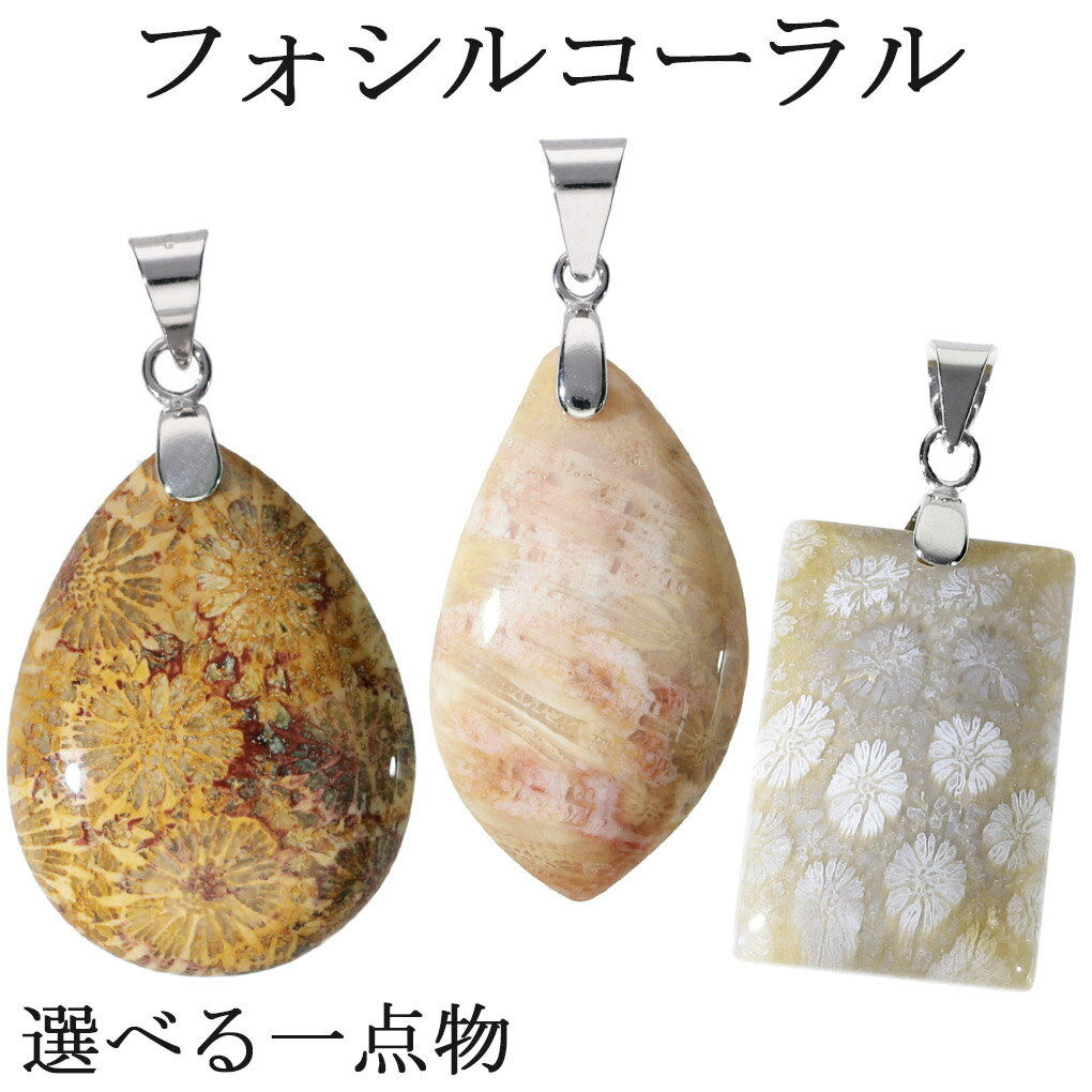 フォシルコーラル シルバー ペンダントトップ 数量限定 選べる 一点物 フォッシルコーラル コーラル 珊瑚 サンゴ ペンダント 化石 さんご 天然石 パワースト...