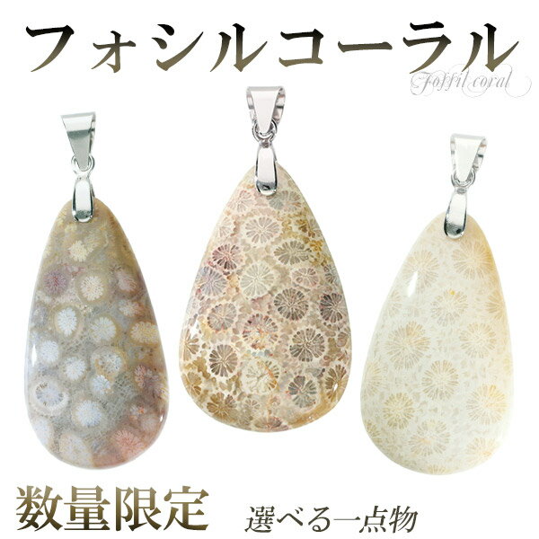 フォシルコーラル シルバー ペンダントトップ 数量限定 選べる 一点物 チェーンなし フォッシルコーラル コーラル 珊瑚 サンゴ ペンダント 化石 さんご 天然...