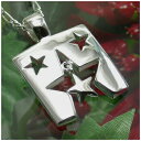 星降るプレートのネックレス SILVER925 レディース ネックレス 女性用ネックレス ペンダントネックレス レディースネックレス ネックレスレディース プレゼント 人気 かわいい おしゃれ