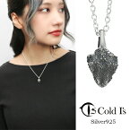 Cold I's フトアゴヒゲトカゲ ヘッド S ペンダントトップ ネックレス シルバー925 シルバーアクセサリー キノボリトカゲ科 ネックレス 女性 誕生日 ドラゴン アガマ科 ドラゴン は虫類 妻 ペンダントチャーム ブランド トカゲ レディース