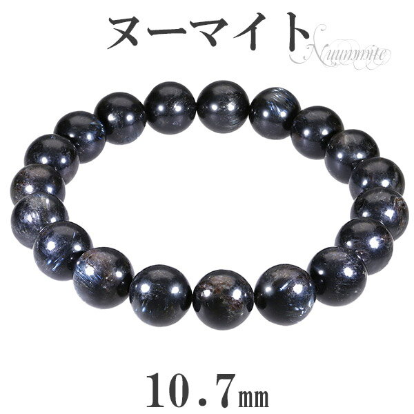 ̡ޥ ֥쥹å 10.7mm 19cm L ǥLL  ŷ ѥȡ  ŷХ꡼ ŷХ֥쥹å ѥ...