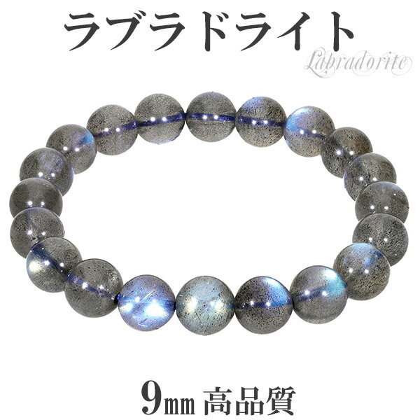 ֥ɥ饤 ʼ ֥쥹å 9mm 16.5cm ǥS  ŷ ѥȡ  ֥ɥ饤 ֥쥹å ŷ ѥ...