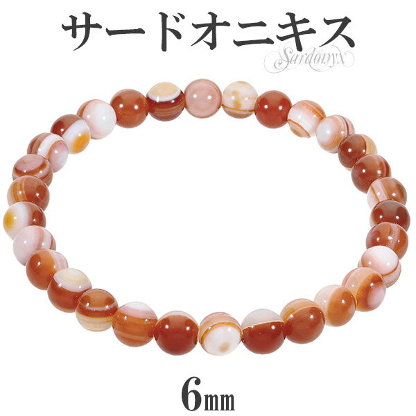 ɥ˥ ֥쥹å 6mm 16.517.5cm SL   8 ŷ ѥȡ  ŷХ꡼ ŷХ֥쥹å...