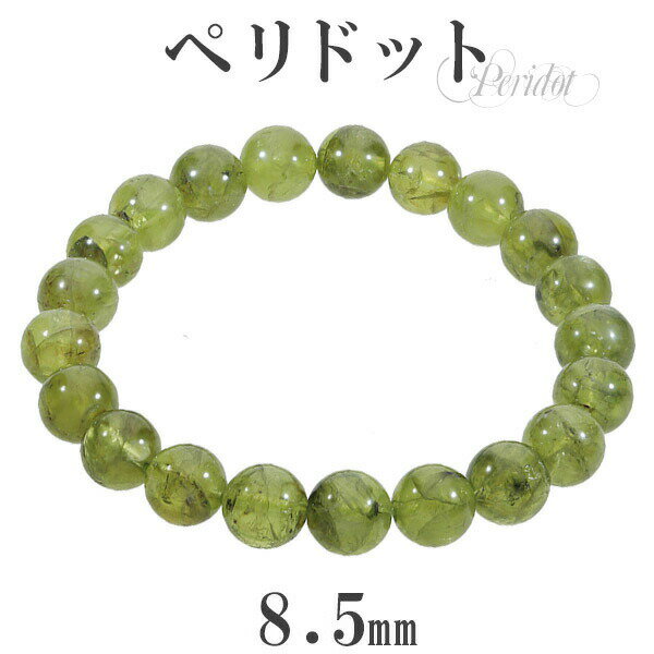 ڥɥå ֥쥹å 8.5mm 16.5cm ǥS  8  ŷ ѥȡ ŷХ֥쥹å ꡼ ڰ  ...