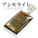 アンモライト シルバーペンダントトップ 天然石 パワーストーン アンモナイト 化石 ペンダント メンズ 天然石アクセサリー 天然石ペンダント パワーストーン ア...