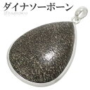 ダイナソーボーン シルバー ペンダントトップ 雫 恐竜 化石 骨 天然石 パワーストーン ペンダント ヘッド 天然石アクセサリー 天然石ペンダント パワーストー...