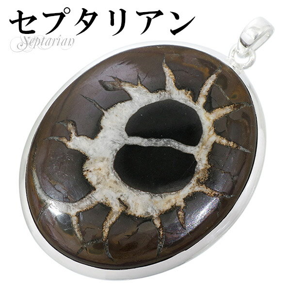 ץꥢ Υ塼 С ڥȥȥå Х ŷ ѥȡ ڥ إå ŷХ꡼ ѥȡ ץꥢ ...