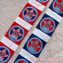 *10枚組でお届け*刺繍 タグ 縫い付け専用 ミリタリー 古着 USA ARMY MILITARY くるま 迷彩 リメイク アメカジ 車 クラフト ハンドメイド...