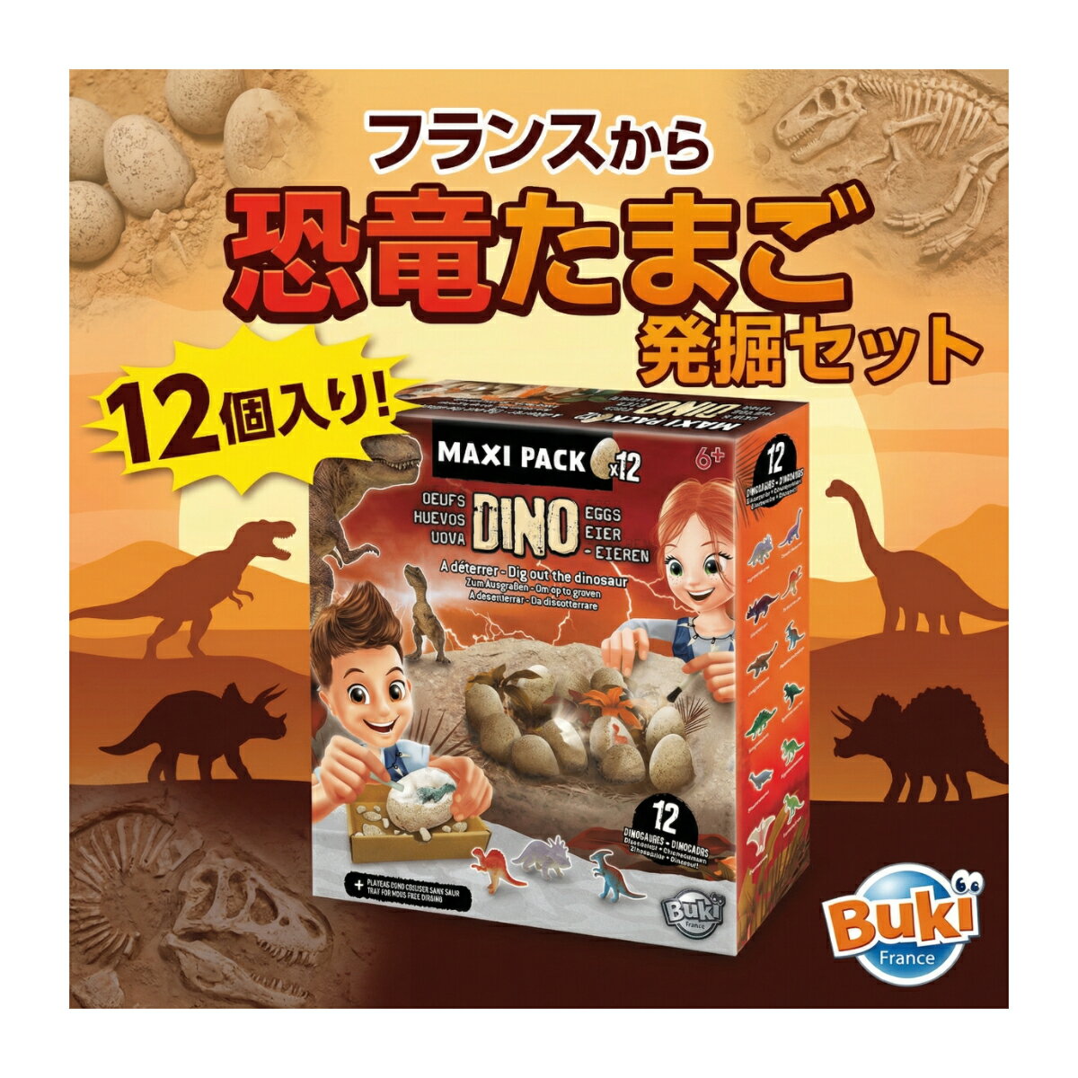 Rakuten - メイキングトイ 恐竜 発掘 セット 12個入り 恐竜の卵 発掘キット トレイ付き ポスター付き 子供 男の子 女の子 知育玩具 自由研究 ギフト ビュキフランス