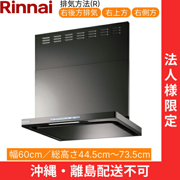 OGR-REC-AP602RGM ʥ RINNAI 󥸥ա 륹ޥå㡼෿ 60cm ̼ե 졼᥿...