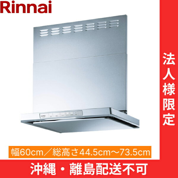 XGR-REC-AP604SV ʥ RINNAI 󥸥ա Υե륿෿ 60cm ̼ե С᥿...