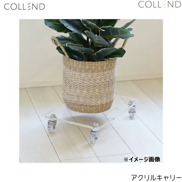 AC-U50 コレンド COLLEND アクリルキャリー 送料無料()