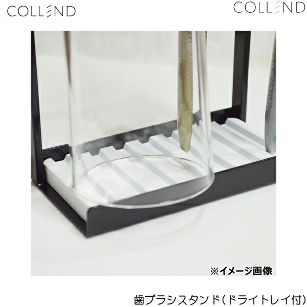 TS-BK コレンド COLLEND 歯ブラシスタンド(ドライトレイ付) 送料無料()