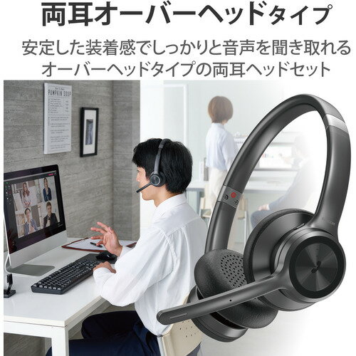 AudioQuestオーディオクエストOptiLink-5 1.5M