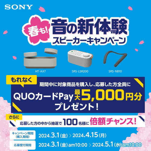 ソニー HT-AX7 ポータブルシアターシステム グレー