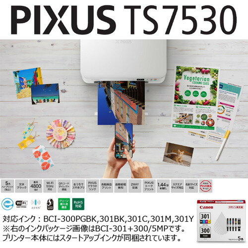 キヤノン PIXUSTS7530WH プリンター PIXUS