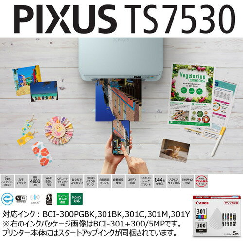 キヤノン PIXUSTS7530BL プリンター PIXUS