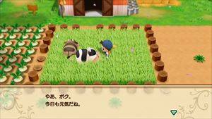 牧場物語 再会のミネラルタウン PS4　PLJM-16868