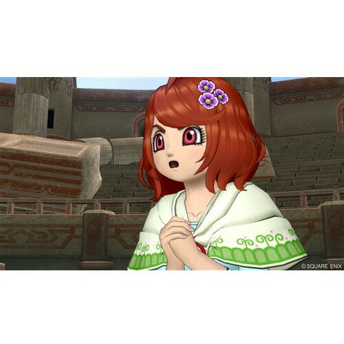 ドラゴンクエストX　未来への扉とまどろみの少女　オンライン 【Switch】　SE-W 0041