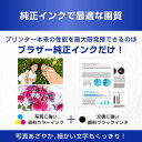 all-kimuraya-jimbocho:10210446のサンプル画像3