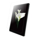 BUFFALO BSIPD22109FT iPad(第10世代)用 防指紋フィルム スムースタッチ