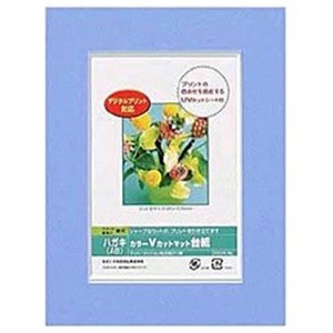 ナカバヤシ Vカットマット台紙 Digio (ハガキ/ブルー) DGVM-A6-B●プリントの色あせを防止するUVカットシート付き。●スタンド・壁掛け兼用タイプでシャープなカットがプリントを引き立てます。