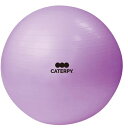 ツインズ CF-008 フィットネスボール55cm トレーニングマニュアル・専用計測テープ付 CATERPY ［FITNESS］ パープル