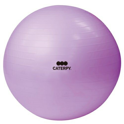 cCY CF-010 tBbglX{[65cm g[jO}jAEpve[vt CATERPY mFITNESSn p[v