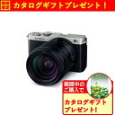 【期間限定ギフトプレゼント】パナソニック DC-S9H-S フルサイズ ミラーレスカメラ 標準ズームレンズキット LUMIX ダークシルバー DCS9HS