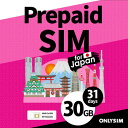 ベネフィットジャパン BJYASIM30GB31 プリペイドデータSIM 30GB 31日