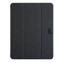 ナカバヤシ TBC-IPP24300BK iPad Pro(M4)13インチ用 軽量ハードケースカバー ブラック