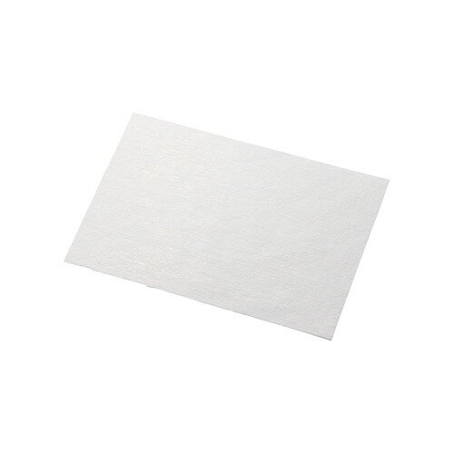 エレコム AVD-TVWCB50H 液晶クリーナー ウェットティッシュ ノンアルコール 50枚入り 超大判 有機EL・4..