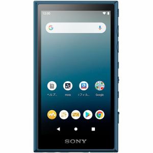 【2018年10月6日発売予定】SONYソニーNW-A55RMウォークマンA50シリーズ16GBトワイライトレッドNWA55RM