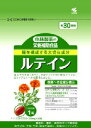 小林 ルテイン 30粒