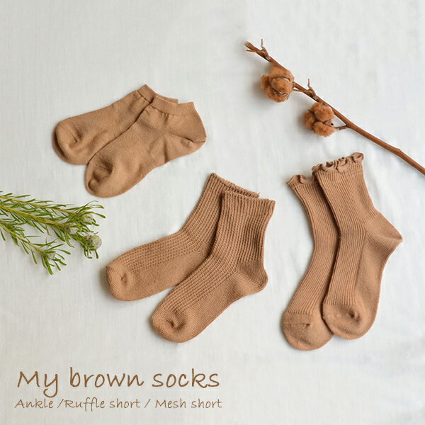  1ޤǥͥ椦ѥåȲ  ŷ̵˥ My Brown åʡե֥饦 󥯥楽å/ե륷硼Ⱦ楽...
