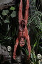 NECA ネカ プレデター アクセサリーパック フィギュア 映画 SF ホラー 名作 ディスプレイ コレクション ジオラマ