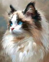 オイルペインティング 油絵セット ラグドール 水彩画 猫 ネコ スタイリッシュ かわいい キュート 動物 スタートキット ギフト プレゼン...