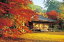 ◆訳あり◆　　エポック　ジグソーパズル　1000ピース 　日本の寺　大分県　秋色の富貴寺