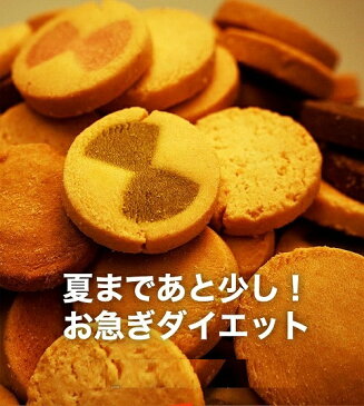 夏の豆乳おからクッキー kc004Z 1Kg 送料無料 お買い得 訳あり スイーツ お買得