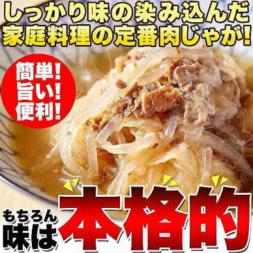 ゆうメール出荷 ゴロっとじゃがいも かつお風味の優しい味付け!!味染み肉じゃが600g(200g×3袋) メール便