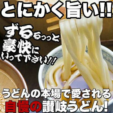 ゆうメール出荷 鎌田醤油特製ダシ醤油6袋付き!!讃岐うどん6食分600g(300g×2袋)メール便