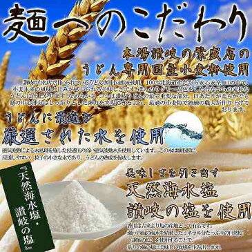 ゆうメール出荷 鎌田醤油特製ダシ醤油6袋付き!!讃岐うどん6食分600g(300g×2袋)メール便