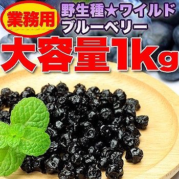 野生種★ワイルドブルーベリー大容量1kg 送料無料