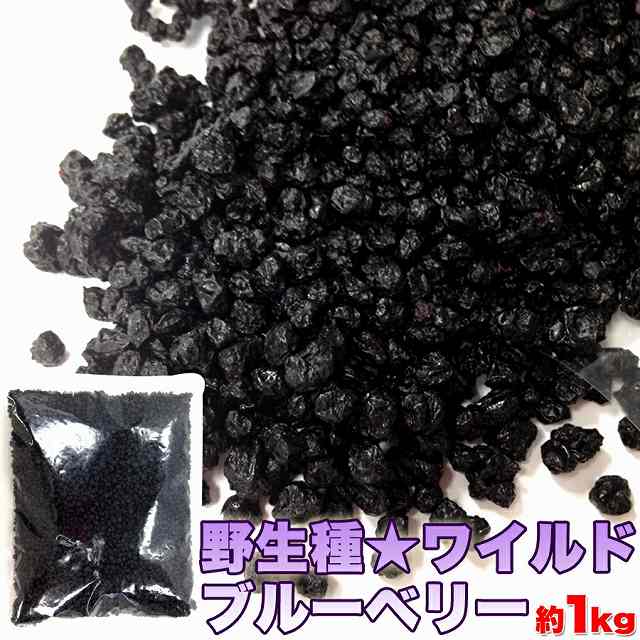 野生種★ワイルドブルーベリー大容量1kg 送料無料
