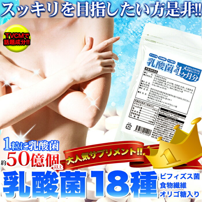 【ゆうパケット出荷】メガ盛り★乳酸菌サプリメントどっさり約4ヶ月分 サプリ　送料無料
