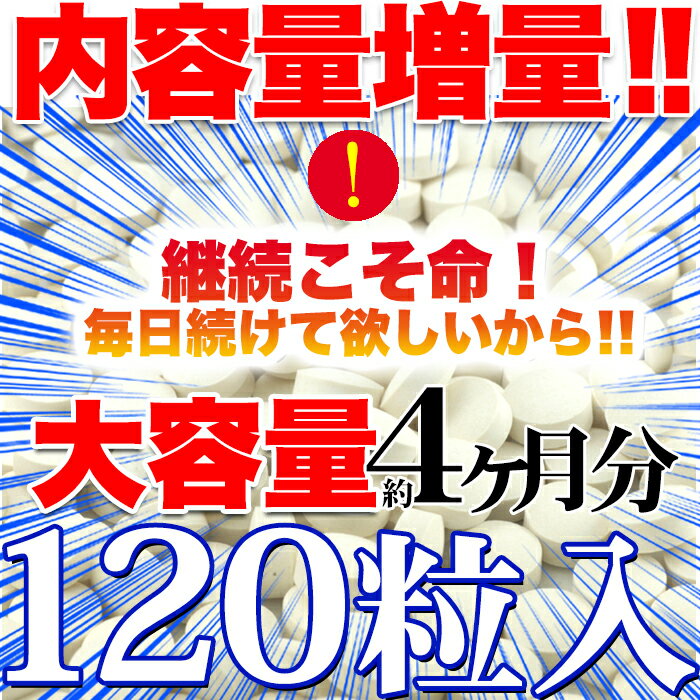 【ゆうパケット出荷】メガ盛り★乳酸菌サプリメントどっさり約4ヶ月分 サプリ　送料無料