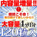 【ゆうパケット出荷】メガ盛り★乳酸菌サプリメントどっさり約4ヶ月分 サプリ 送料無料